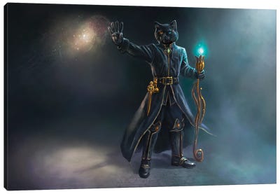 Black Magic Cat Canvas Art Print - Anastasia Evgrafova