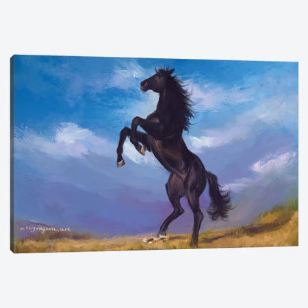 Horse Canvas Print #EVF46} by Anastasia Evgrafova Canvas Print