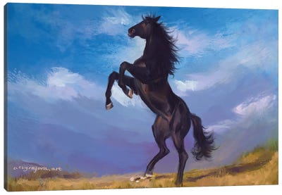 Horse Canvas Art Print - Anastasia Evgrafova