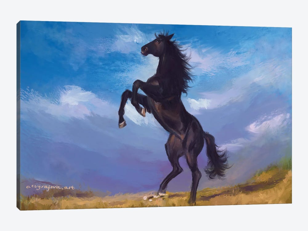 Horse by Anastasia Evgrafova 1-piece Canvas Wall Art