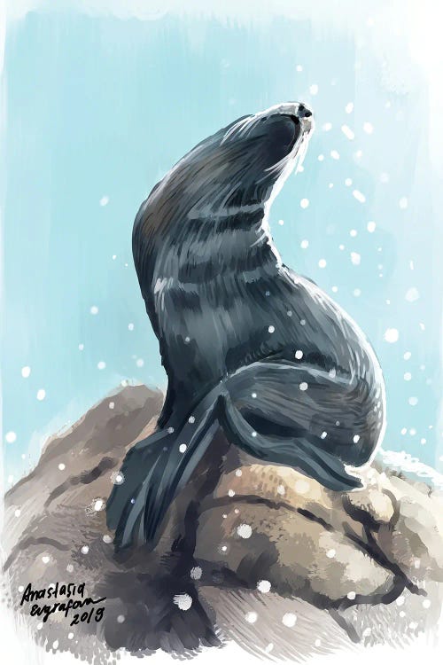 Sea Lion