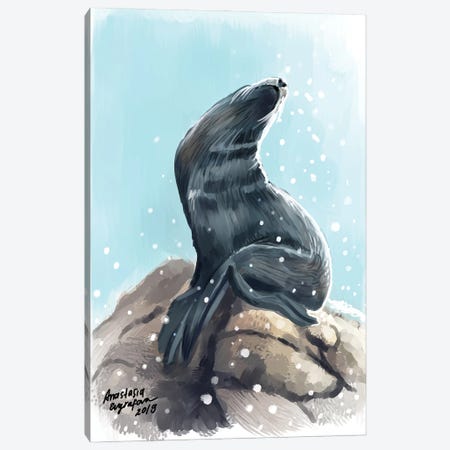 Sea Lion Canvas Print #EVF53} by Anastasia Evgrafova Canvas Print