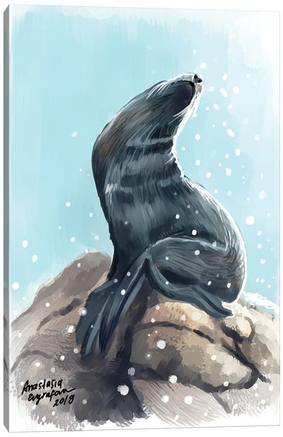 Sea Lion Canvas Art Print - Anastasia Evgrafova