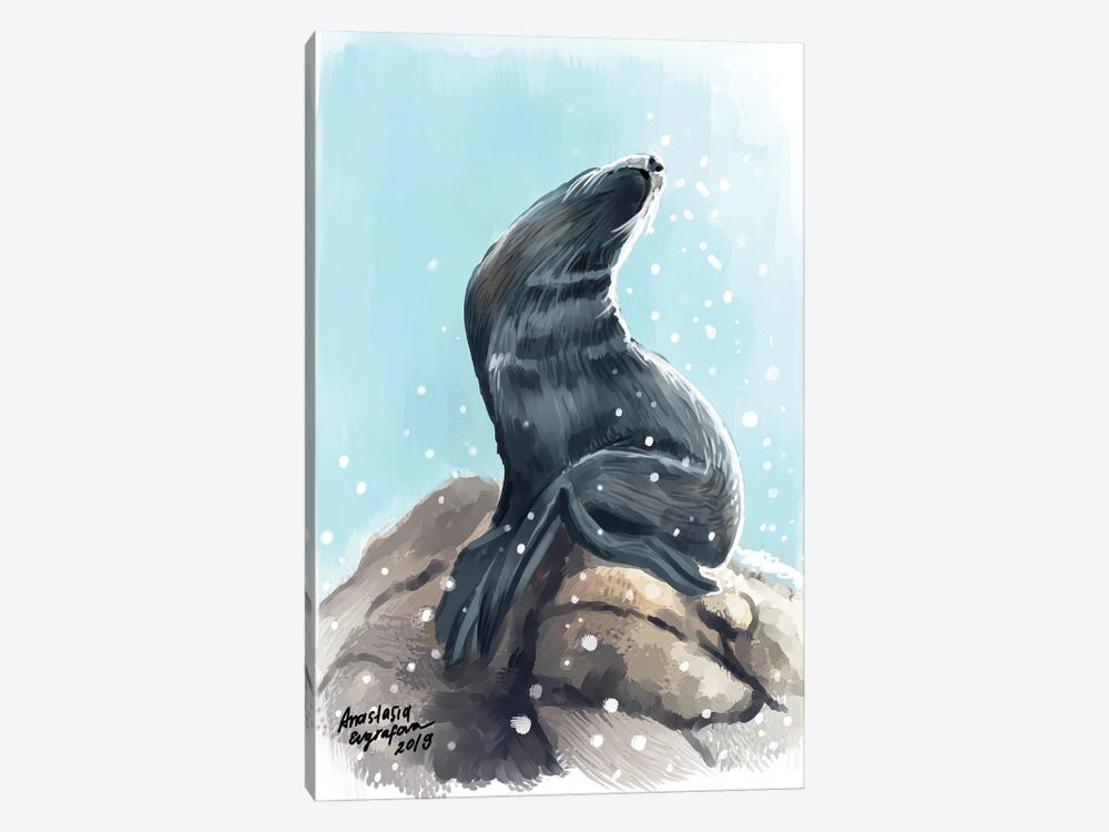 Sea Lion by Anastasia Evgrafova 1-piece Canvas Art