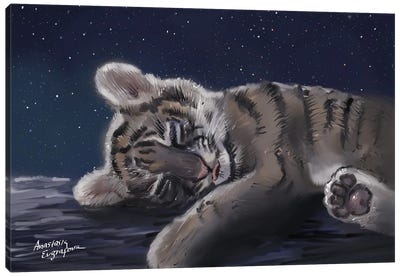 Siberian Tiger Canvas Art Print - Anastasia Evgrafova