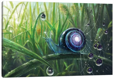 Universe Canvas Art Print - Snail Art