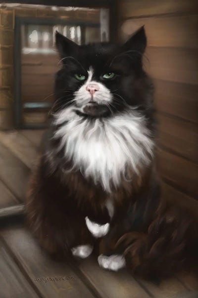 The Cat From Zelenogradsk by Anastasia Evgrafova canvas print