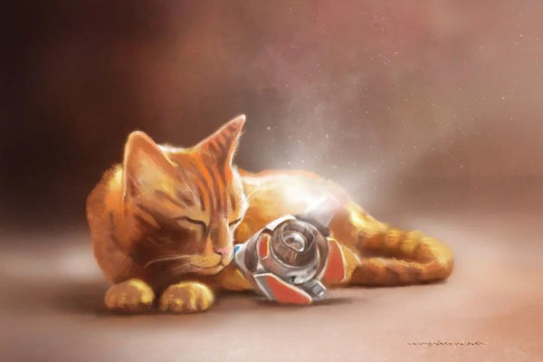 Orange Cats: Goodbye B-12 by Anastasia Evgrafova