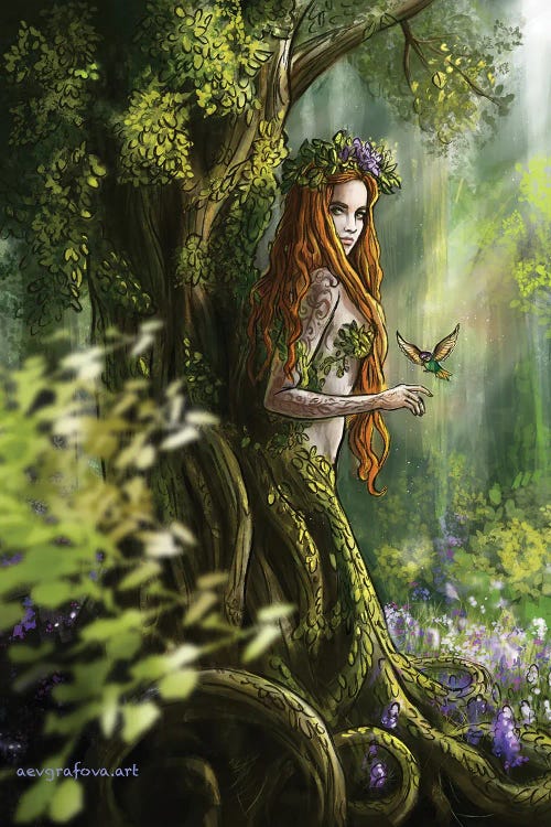 Dryad