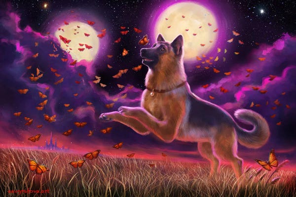 German Shepherds: Fairy Tale by Anastasia Evgrafova