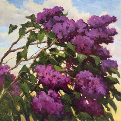 Lilac Bush I by Evgeniia Mekhova framed canvas print