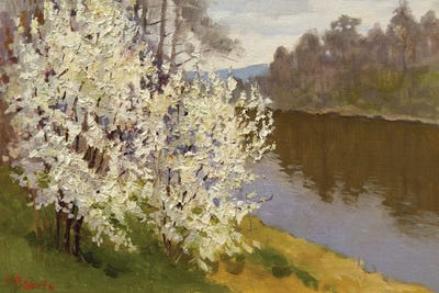 Spring Trees by Evgeniia Mekhova framed canvas print