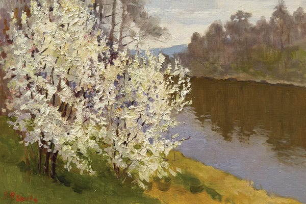 Spring: Spring Trees by Evgeniia Mekhova