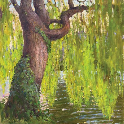 Willow Tree by Evgeniia Mekhova framed canvas print