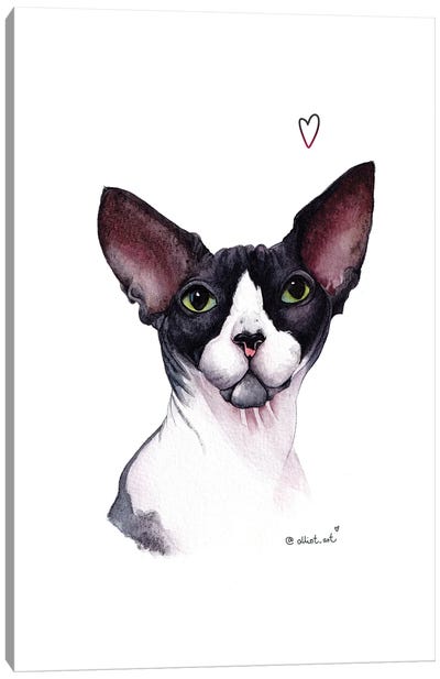 George Canvas Art Print - Hairless Cat Art