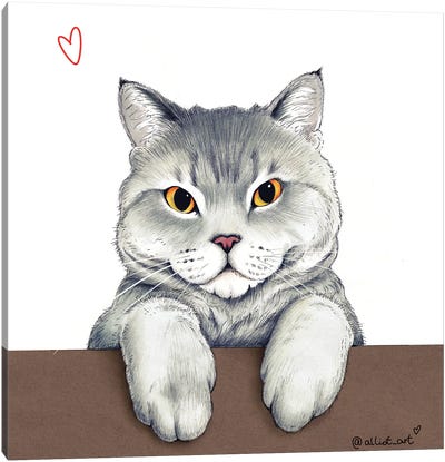 Hello! Canvas Art Print - British Shorthair Cat Art
