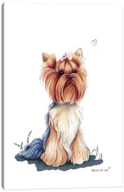 Lady Canvas Art Print - Yorkshire Terrier Art