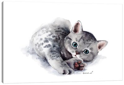 Paws Canvas Art Print - Kitten Art
