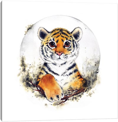 Tiger Canvas Art Print - Evgeniya Kartavaya
