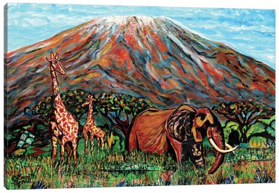 Mt. Kilimanjaro Canvas Art Print - Volcano Art