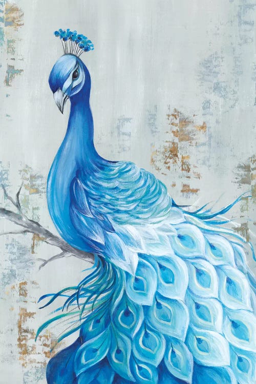 Peacock Paradise Canvas Artwork by Eva Watts | iCanvas