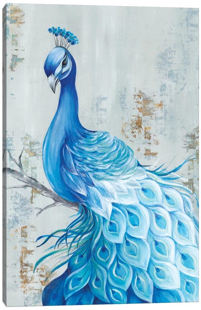 Peacock Paradise Canvas Art Print - Peacock Art