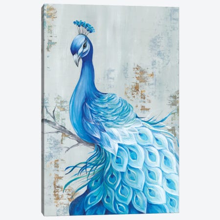 Peacock Paradise Canvas Print #EWA117} by Eva Watts Canvas Art