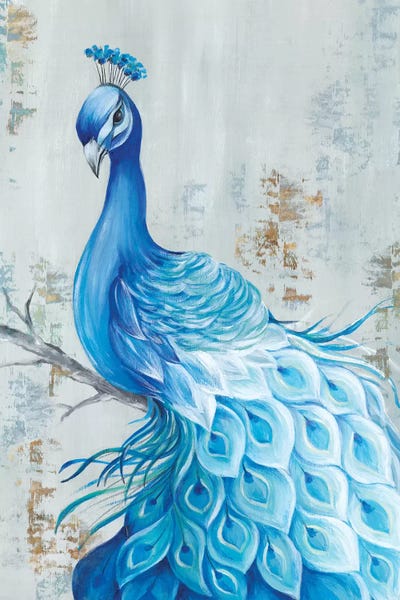 Peacocks: Peacock Paradise by Eva Watts