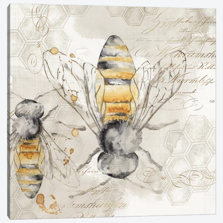 Queen Bee I  Canvas Print #EWA119} by Eva Watts Canvas Art Print