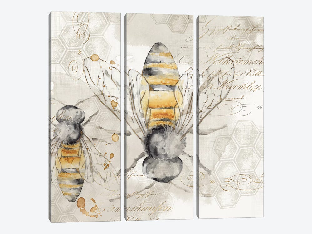 Queen Bee I  by Eva Watts 3-piece Canvas Wall Art