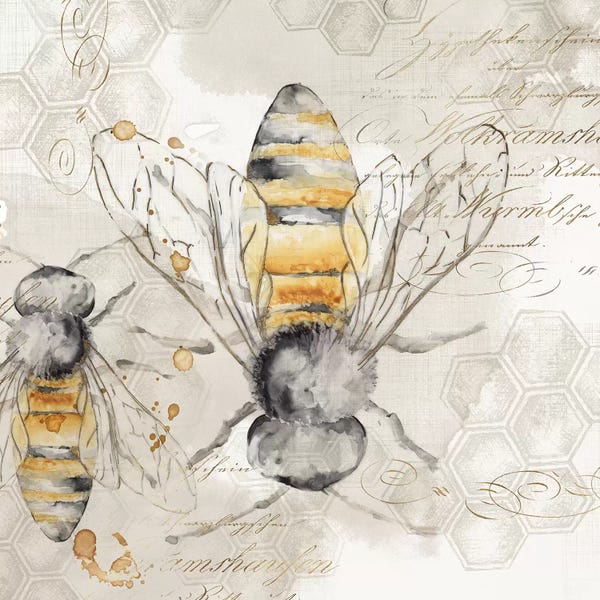 Eva Watts: Queen Bee I  by Eva Watts