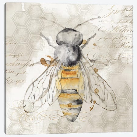 Queen Bee II  Canvas Print #EWA120} by Eva Watts Canvas Wall Art