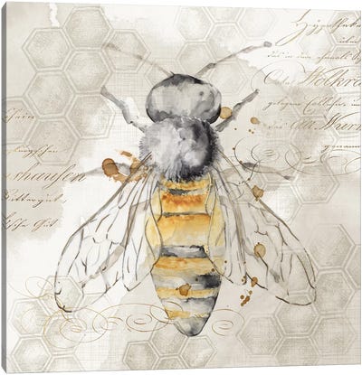 Queen Bee II  Canvas Art Print - Insect & Bug Art
