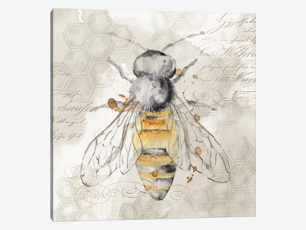 Queen Bee II  by Eva Watts 1-piece Canvas Wall Art