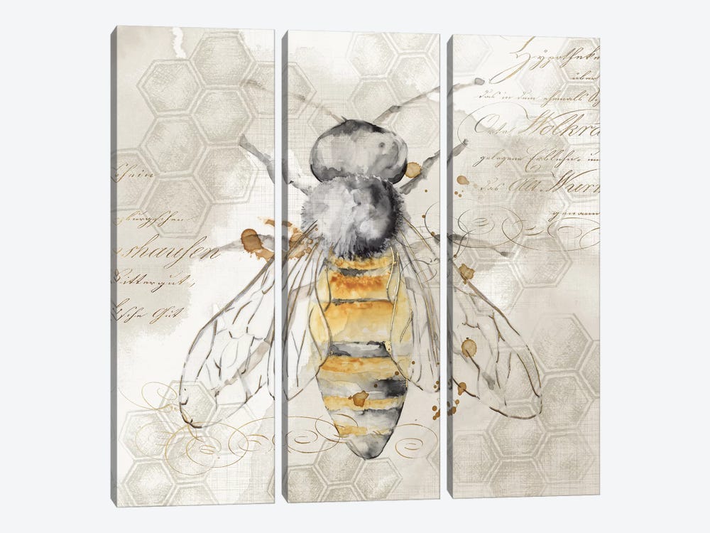 Queen Bee II  by Eva Watts 3-piece Canvas Wall Art