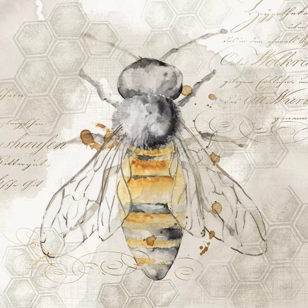 Bees: Queen Bee II  by Eva Watts