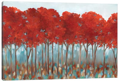 Red Rover Canvas Art Print - Eva Watts