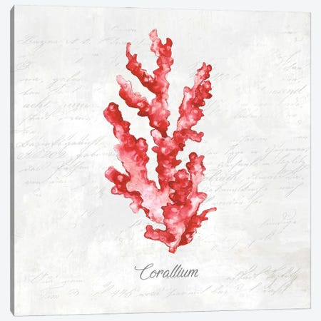 Red Sea Coral Canvas Print #EWA122} by Eva Watts Canvas Art