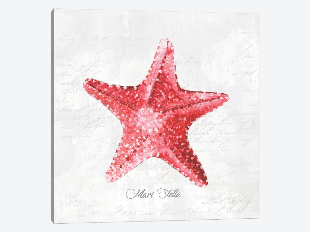 starfish art