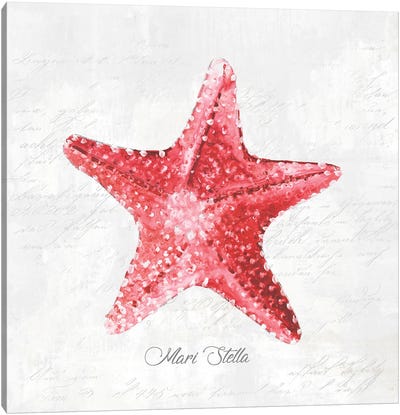 Red Starfish  Canvas Art Print