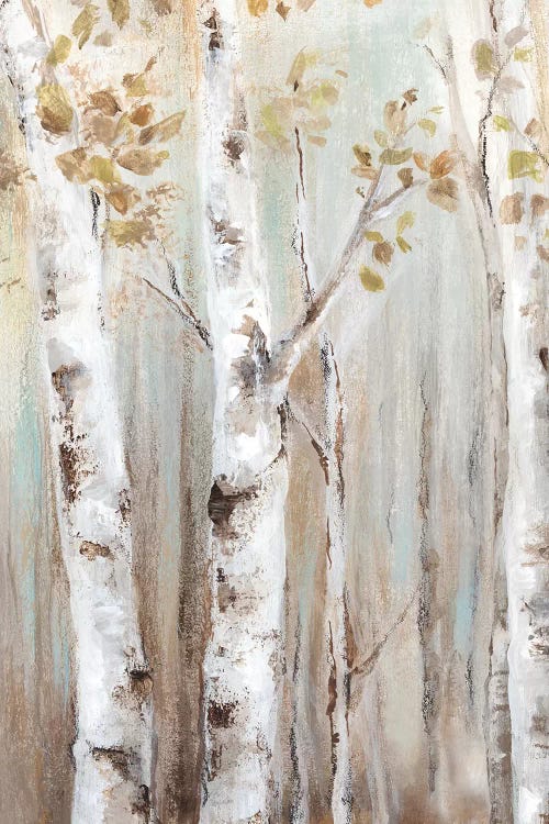 Sunset Birch Forest I  by Eva Watts wall art