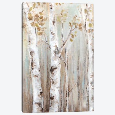 Sunset Birch Forest I  Canvas Print #EWA133} by Eva Watts Canvas Print