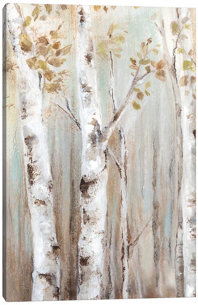 Sunset Birch Forest I  Canvas Art Print - Eva Watts