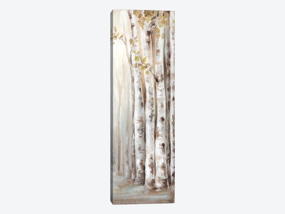 Sunset Birch Forest II  by Eva Watts 1-piece Canvas Print