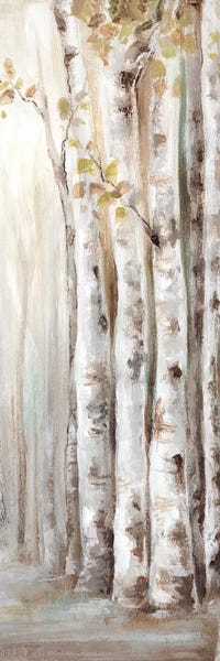 Panoramic Vertical: Sunset Birch Forest II  by Eva Watts