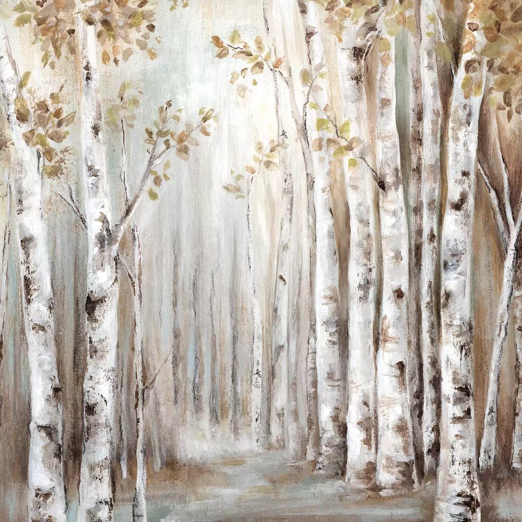 Sunset Birch Forest III  by Eva Watts wall art