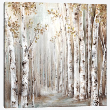 Sunset Birch Forest III  Canvas Print #EWA135} by Eva Watts Canvas Art