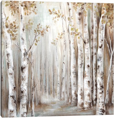 Sunset Birch Forest III  Canvas Art Print - Trail, Path & Road Art