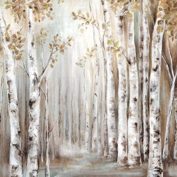 Birch Trees: Sunset Birch Forest III  by Eva Watts