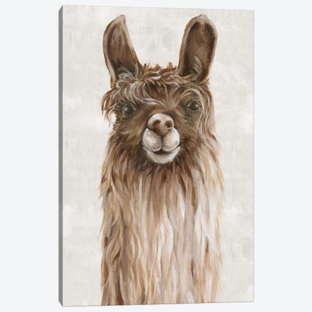 Suri Alpaca I  Canvas Print #EWA136} by Eva Watts Canvas Wall Art
